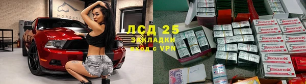 молекула духа Бородино