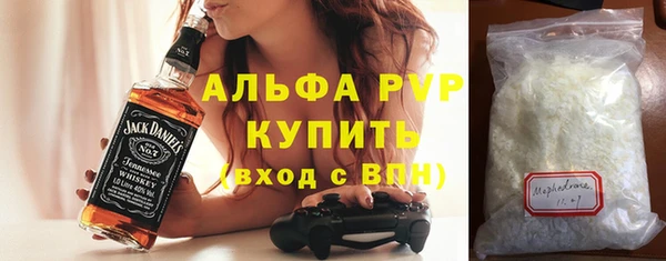 молекула духа Бородино