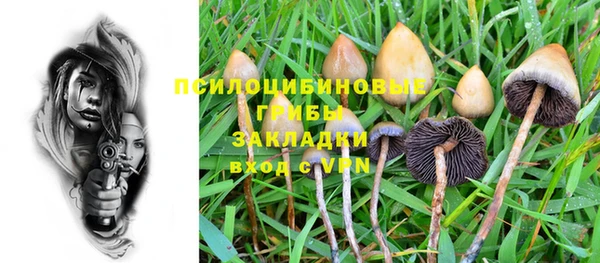 молекула духа Бородино