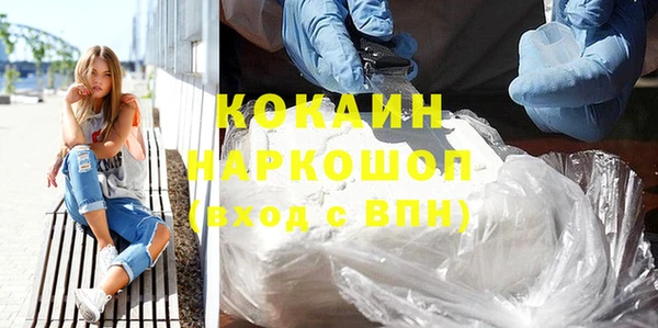молекула духа Бородино