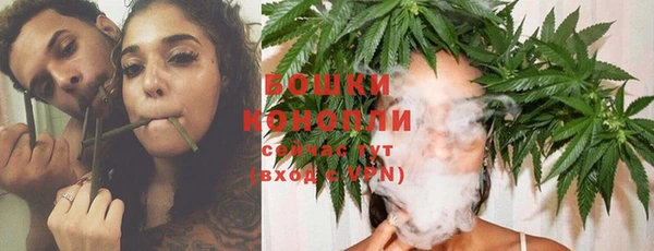молекула духа Бородино