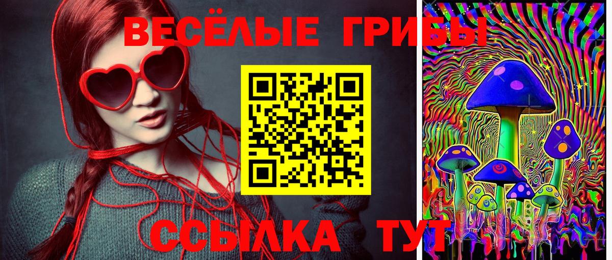Псилоцибиновые грибы мухоморы Стерлитамак