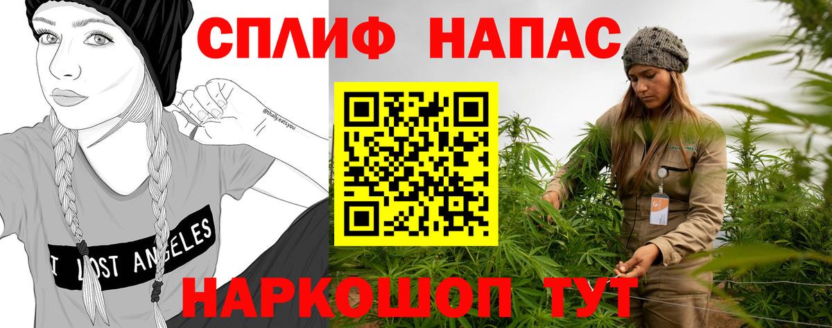Бошки марихуана сатива Стерлитамак